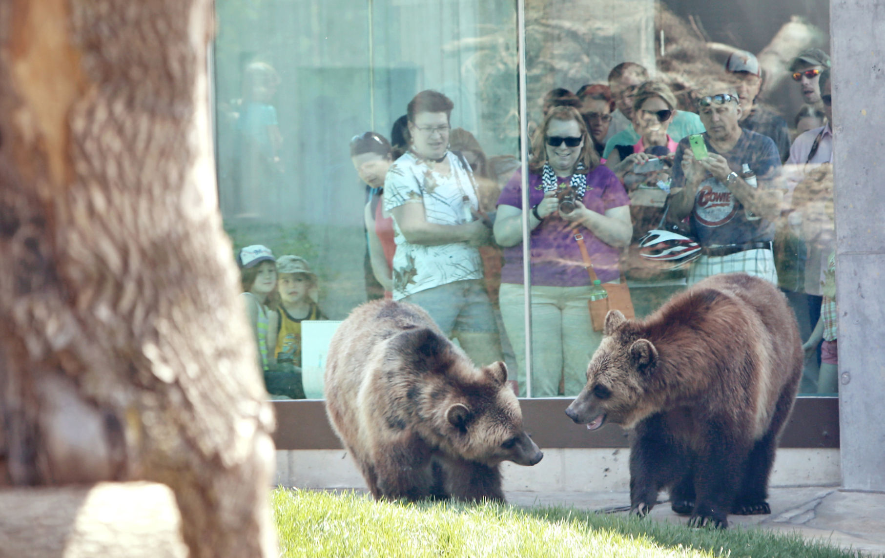031719-wsj-news-zoo2